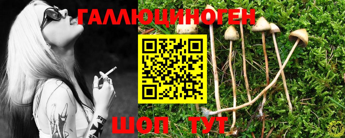 Псилоцибиновые грибы GOLDEN TEACHER Калач-на-Дону