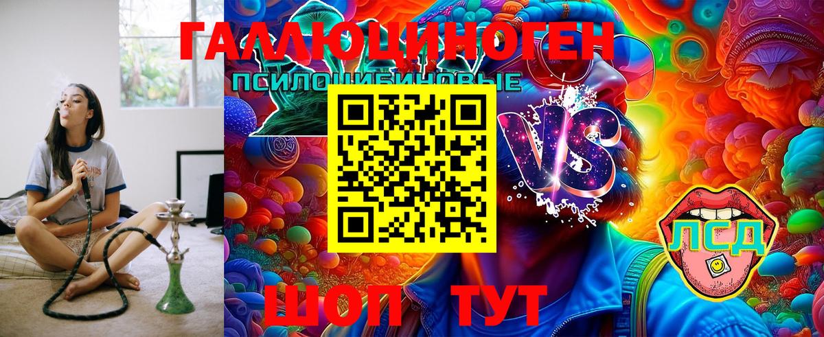 Галлюциногенные грибы Psilocybe  Вход с VPN  Калач-на-Дону 